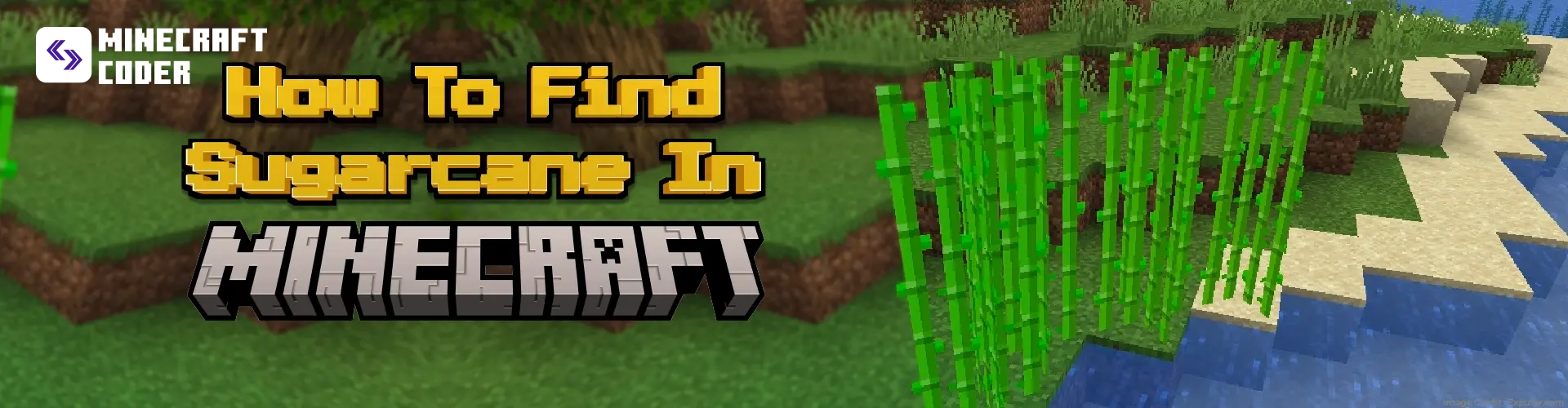 How to Find Sugar Cane in Minecraft